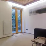 Two Bedroom In Sankt Englmar, Bavaria * Sankt Englmar