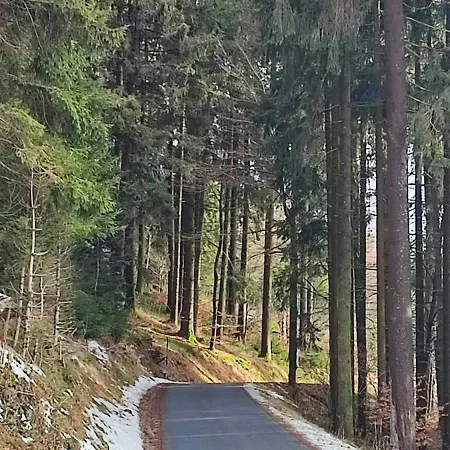 Two Bedroom In Sankt Englmar, Bavaria * ザンクト・エングルマール