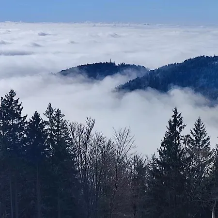 アパート Two Bedroom In Sankt Englmar, Bavaria ザンクト・エングルマール