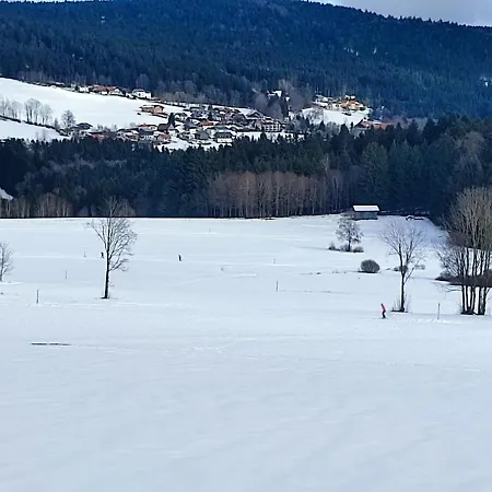 アパート Two Bedroom In Sankt Englmar, Bavaria