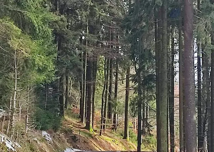 Two Bedroom In Sankt Englmar, Bavaria * Sankt Englmar